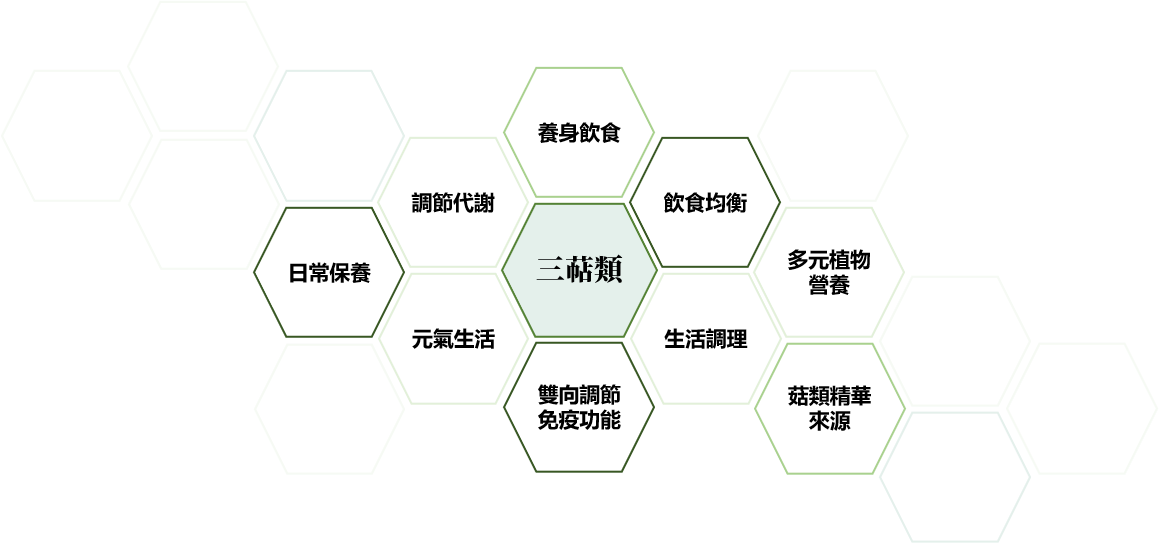 三萜類圖片