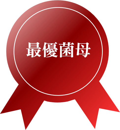 獎章1